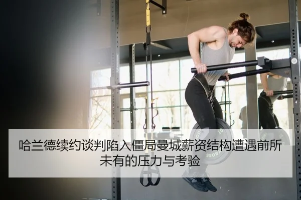 ha-lan-de-xu-yue-tan-pan-xian-ru-jiang-ju-man-cheng-xin-zi-jie-gou-zao-yu-qian-suo-wei-you-de-ya-li-yu-kao-yan-2-230.jpg